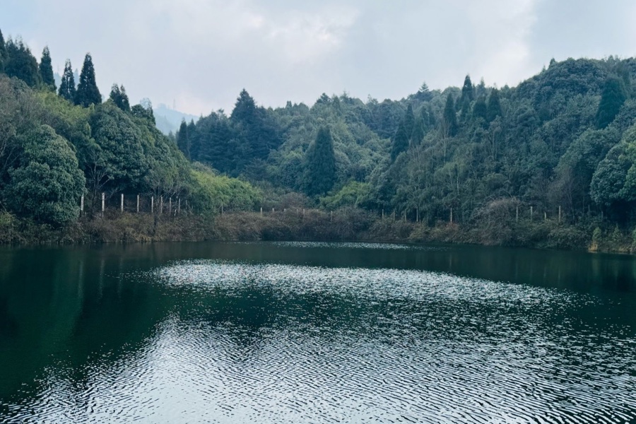 Khecheopalri Lake