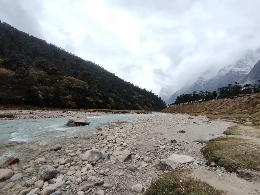The braided river on the floor of the Yumthang Valley, forested slopes and snow peaks beyond