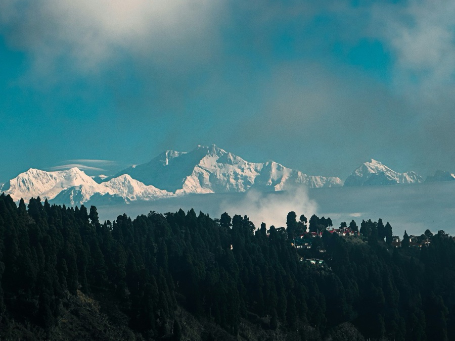The Khangchendzonga range above a dark pine ridge under a clear blue sky