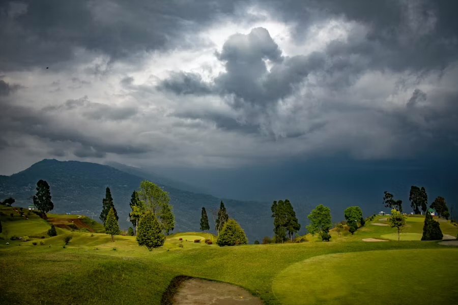 Storm light over the hills above a grassy ridge lined with cypress
